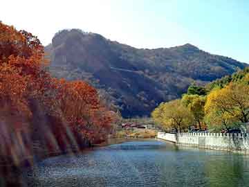 澳门二四六天天彩图库，华夏黑客联盟论坛